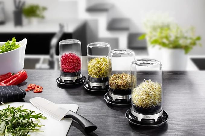SPROUTING JAR (Black)