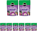 Miracle-Gro African Violet Potting Mix, 8qt, 8-Pack
