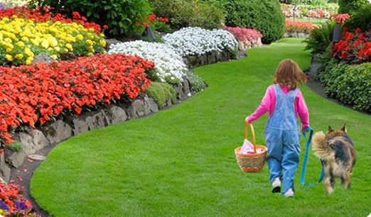 Espoma Turf-Tone All Season Organic Lawn Food with Iron & Exclusive Bio-Tone Formula - Slow Release Long Lasting Feeding for All Lawns - Granular Lawn Fertilizer for All Seasons - Made in USA, 28 lbs