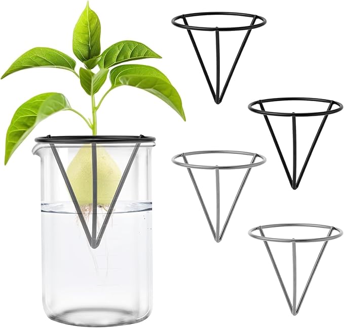 Avocado Seed Starter Vase Rack - for Mason Jar of Wide-Mouth 4Pcs, Avocado Seed Holder Triangular Metal Bracket for Family Friends and Gardening Enthusiasts (4 Pcs Vase Rack)