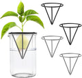 Avocado Seed Starter Vase Rack - for Mason Jar of Wide-Mouth 4Pcs, Avocado Seed Holder Triangular Metal Bracket for Family Friends and Gardening Enthusiasts (4 Pcs Vase Rack)