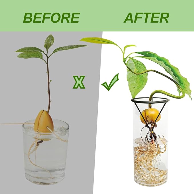Avocado Seed Starter Vase Rack - for Mason Jar of Wide-Mouth 4Pcs, Avocado Seed Holder Triangular Metal Bracket for Family Friends and Gardening Enthusiasts (4 Pcs Vase Rack)