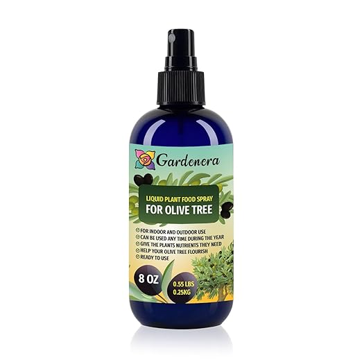 Gardenera Professional Olive Tree Superfood Spray Mist for Home Gardening | Micro-Fungi Enriched Fertilizer Mist for Healthy Leaves & Growth | 18 Key Vitamins & Minerals for Olive Tree - 8oz