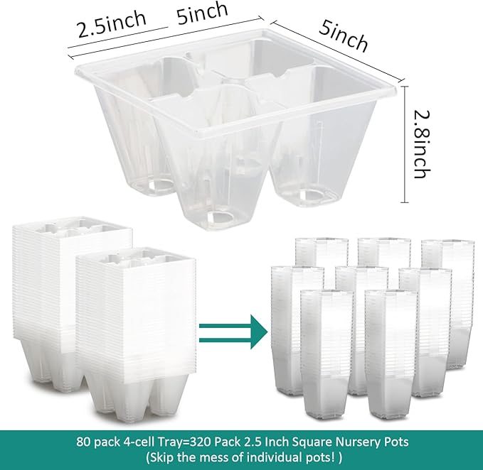 80 Pack Reusable 4-Cell Clear Seed Starter Trays - Extra Large Drainage Holes, Easy Transplant, Clear Transparent Tray for Root Observation, Seed Starting, Fits Standard 1020 Flats