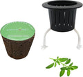 3 Inches Preseeded Herb Seeds Starter Plug for Hydroponic Applications,Seeds Starter Sponge Pod Replacement for Hydroponic Garden kit (Thyme)