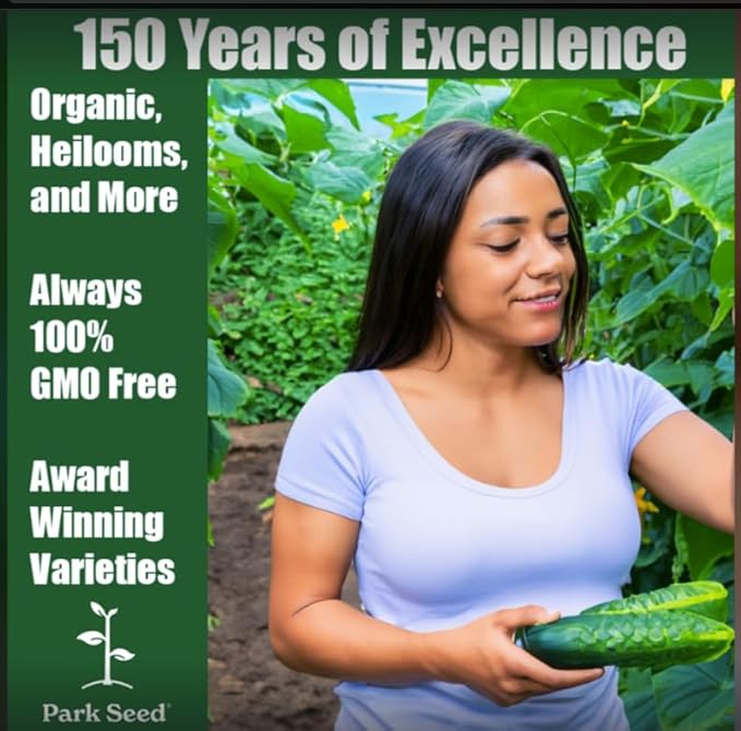 Park Seed Variety of Cucumber Seeds, Planting Cucumbers, Vegetable Seeds, Easy to Grow, Non-GMO, Perfect for Harvesting, Baby Hybrid, Pack of 10