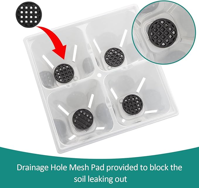 80 Pack Reusable 4-Cell Clear Seed Starter Trays - Extra Large Drainage Holes, Easy Transplant, Clear Transparent Tray for Root Observation, Seed Starting, Fits Standard 1020 Flats
