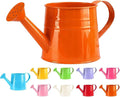 Metal Watering Can - 1L Vintage Sprinkling Can Plant Watering Can for Outdoor Indoor Plants, Tinplate Watering Kettle Gardening Tool, Galvanized Steel Watering Cans for Flowers (Orange)
