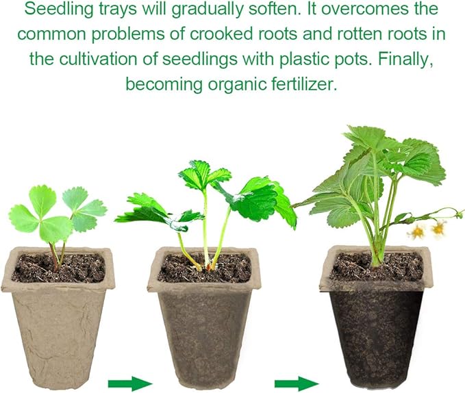 10 Pack Seed Starter Tray Kit, 120 Cells Organic Germination Seedling Trays Plant Grow Kit Nursery Pots Plug Tray Peat Pot for Vegetable & Flower Plants Herb Seeds Garden Planting