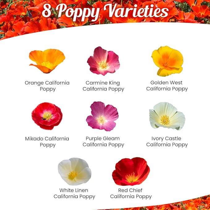 Parade of Poppy Wildflower Seeds - 1oz, Open-Pollinated Flower Seed Mix Packets, No Fillers, Annual, Easily Re-Seeds, Wildflower Seeds, Year-Round Planting - 1 oz
