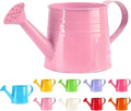 Metal Watering Can - 1L Vintage Sprinkling Can Plant Watering Can for Outdoor Indoor Plants, Tinplate Watering Kettle Gardening Tool, Galvanized Steel Watering Cans for Flowers (Pink)