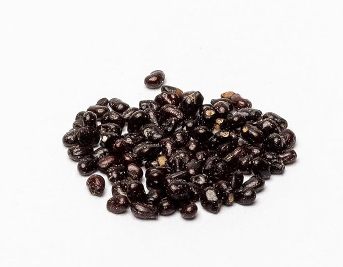 Grow Your Own Saguaro Cactus Kit (Carnegiea gigantea) – Cactus Seeds – Seed Starter Peat Pellets Pods - Southwestern Gift Idea - Seed Growing