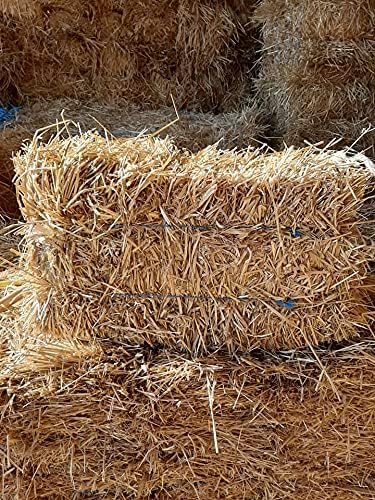 Premium 100% Natural Straw for Animal Bedding, Garden Mulch, Compost & Fertilizer, and Grass Cover (8 lbs)