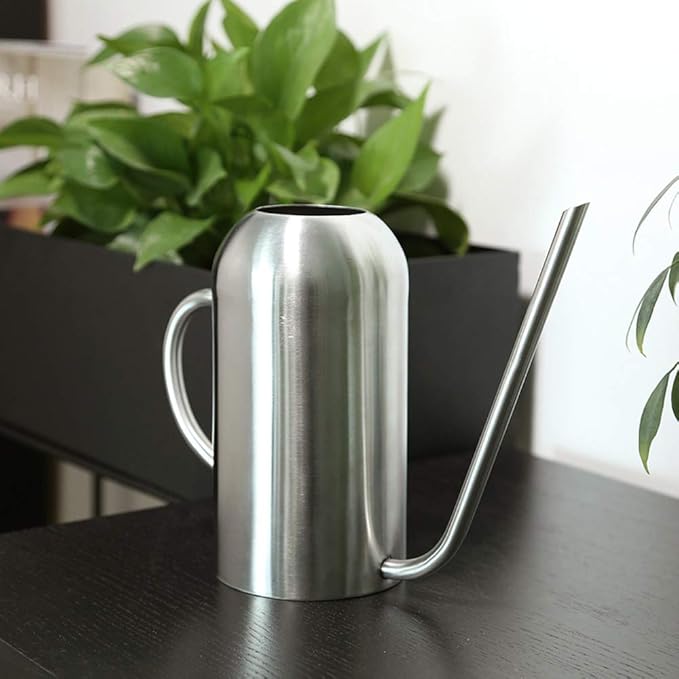 Fasmov Stainless Steel Watering Can with Long Spout Modern Style Watering Pot, 53oz/1.5L