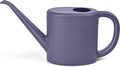 Plant Watering Can for Home Garden - with Long Spout - 1/4 Gallon - Purple