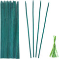 Green Bamboo Plant Stakes, Plant Sticks Support for Indoor and Outdoor Plants, Garden Wood Sturdy Bamboo Sticks, Floral Plant Support Stakes for Garden Plants 25 Pack（15 Inches）