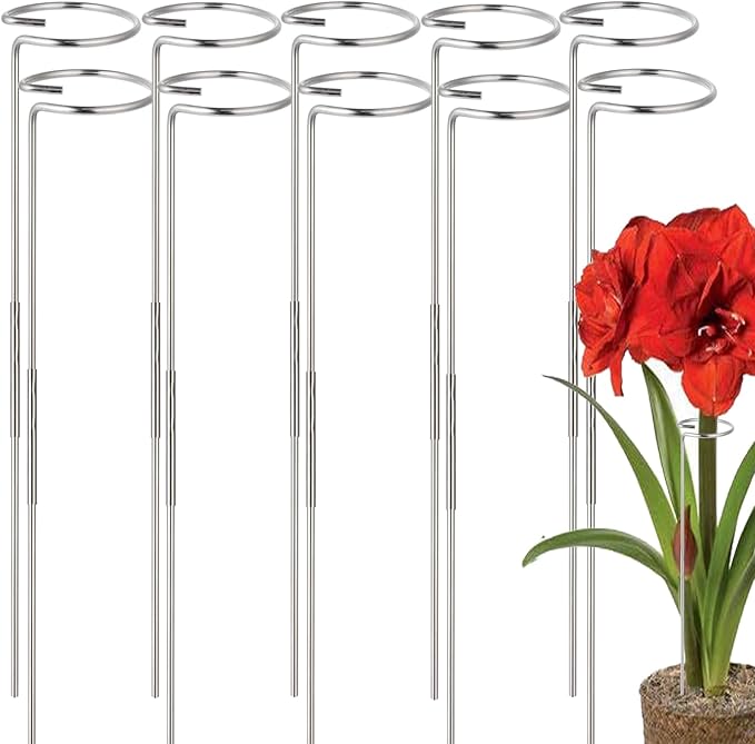 30 or 16 Inch Plant Stakes for Flowers - 10 Pcs, Stainless Steel Garden Tall Single Stem Support Stake Plant Cage Support Rings for Amaryllis Tomatoes Peony Lily Rose Narcissus (10, 1.6, Pounds)