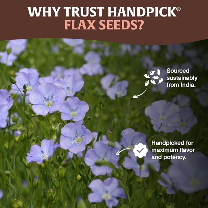 HANDPICK Flax Seed (2 lb) | Gluten Free Brown Seeds | Raw Seeds Sourced from India | Grinds easily, Gels perfectly | Resealable Zip Lock Pouch