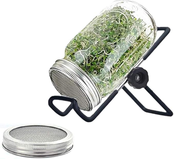Sprouting Jar Lid (32oz Glass Jars) with 4 Pack Stainless Steel Sprouting Stands for Wide and Wide Mouth Mason Jar for Growing Organic Sprouts, Stainless Steel, 4 Pack