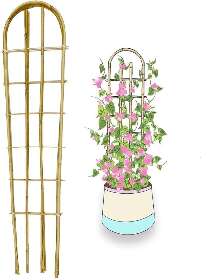 Bamboo Trellis,U-Shape Bamboo Trellis,4Feet,3pack,for Climbing Plants Outdoor Bamboo,for,Climbing Plants,Tomato, Vegetables,Flowers, Beans, Cucumber,Indoor Potted Climb Plants