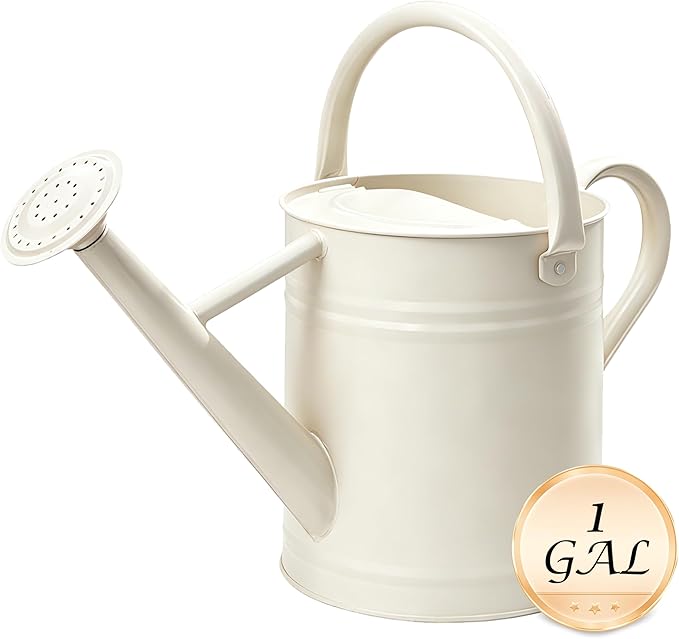 Metal Watering Can for Outdoor and Indoor Plants, Watering Can Decor, 1 Gallon（Cream White）