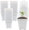 PURPLE STAR 1N 30 Packs Plant Nursery Pots with Humidity Dome, Small Gardening Pots, Square Planting Containers Cups for Succulents Seedlings Cuttings Transplanting