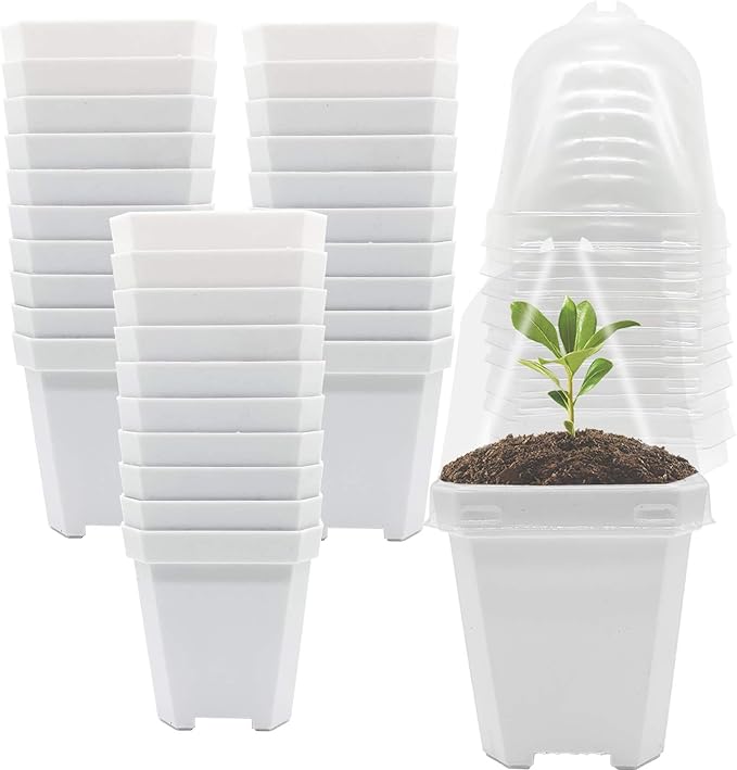 PURPLE STAR 1N 30 Packs Plant Nursery Pots with Humidity Dome, Small Gardening Pots, Square Planting Containers Cups for Succulents Seedlings Cuttings Transplanting