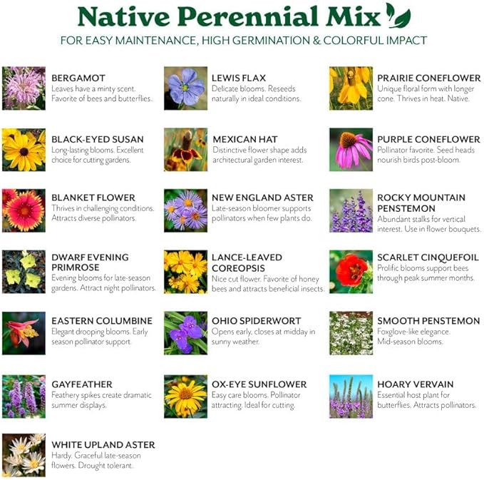 Grow Your Own Vibrant Perennial Wildflower Garden Seeds Mixture, Varieties for Pollinators and Spring Gardens - Native Perennial Mix, 50 lbs