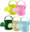 Homoyoyo 5pcs Small Watering Can Mini Metal Watering Cans for Girls Boys Indoor Plants Garden Home Craft Housewarming