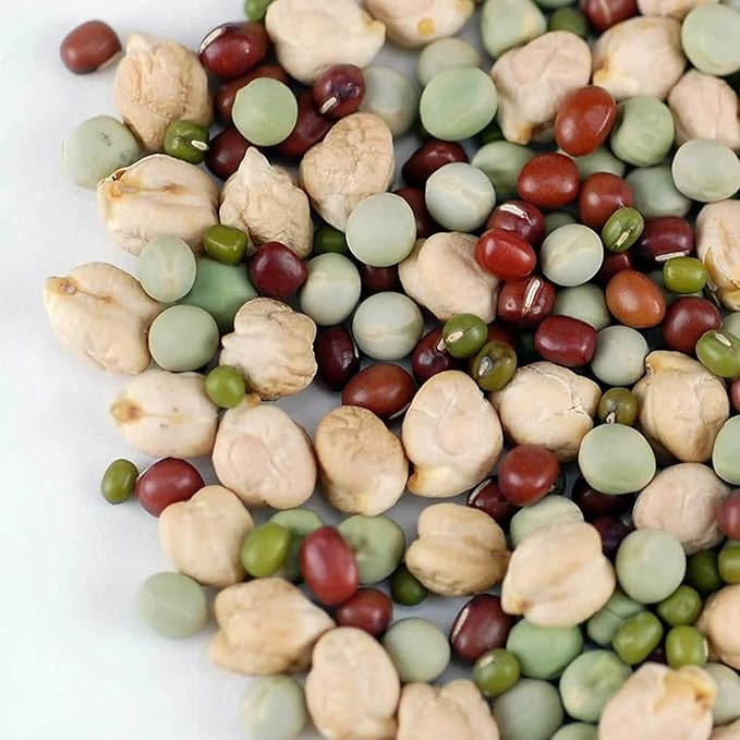 Todd's Seeds Protein Bean Sprouting Seed Mix; Green Pea, Mung Bean, Adzuki, Garbanzo, Non-GMO, Chemical Free, High Germination (1/4 Pound)