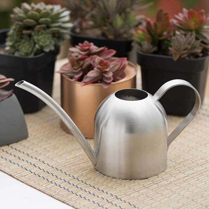 Stainless Steel Water Can for Indoor Plants and Garden (30 oz)