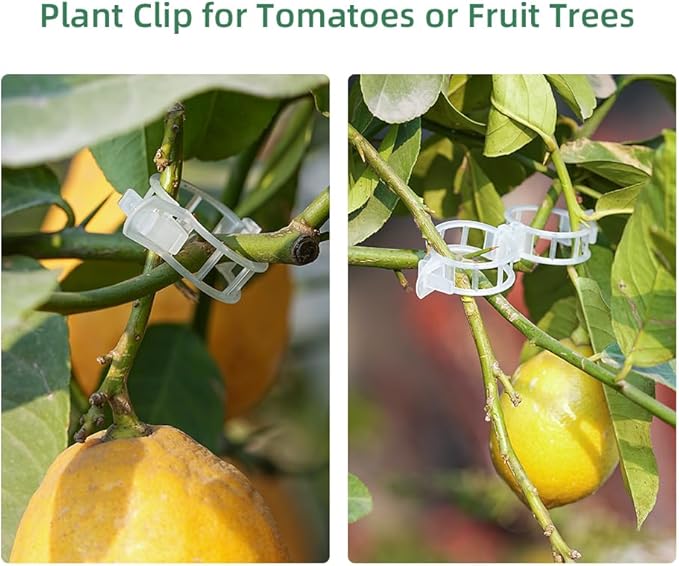Plant Clips Plant Ties Set, 50 FT Reusable Plant Ties and 100 PCS Support Clips for Securing Climbing Plants Tomato Vibes Orchid Flower Stems, Garden Plant Support Cables for Indoor Outdoor Plants