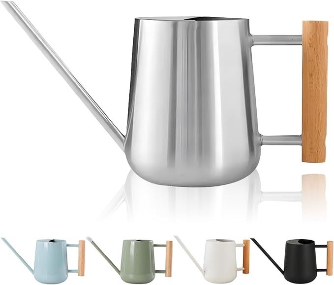 Watering Can Indoor Plants, 30oz/900ml Small Plant Watering Can with Long Spout, Stainless Steel Garden Watering Cans Outdoor Watering Pot for Indoor House Plants Bonsai Flower Decorative