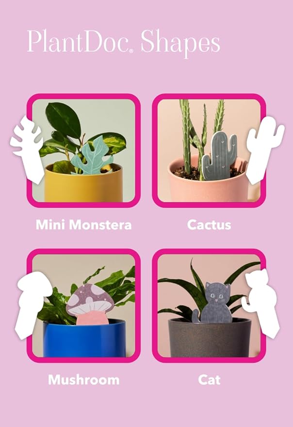 Soil Moisture Indicator for Houseplants – Know When to Water, Prevent Overwatering – Biodegradable, No Plastic – 5 Pack (PlantDoc Monstera)