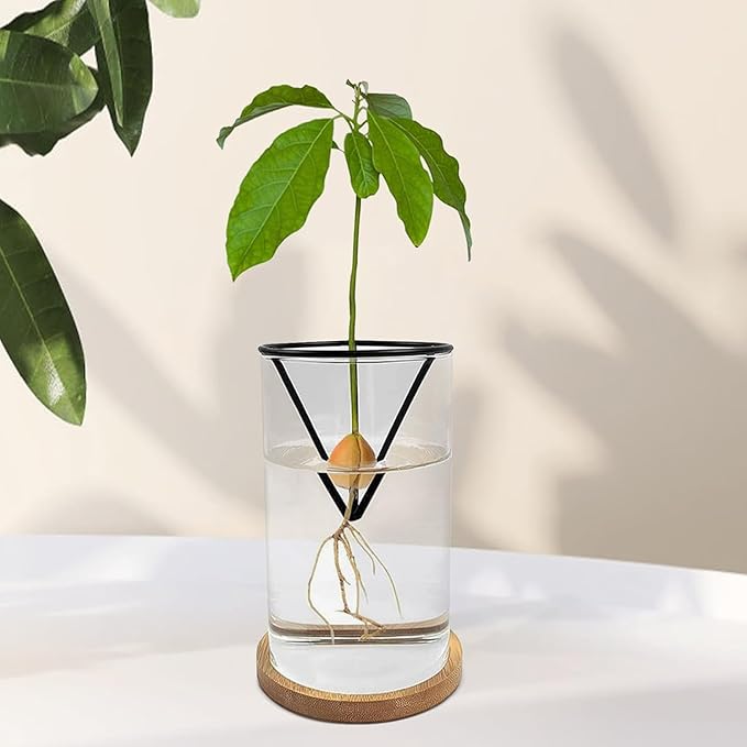 Avocado Vase for Growing - Avocado Seed Starter Vase Rack for Mason Jar of Wide-Mouth 4Pcs, Avocado Seed Holder Triangular Metal Bracket for Family Friends (3 Pcs Vase Set)