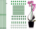 Adjustable Plant Support Stakes, Telescoping Support Sticks with Clips for Indoor & Outdoor Potted Plants, Monstera, Orchids, Tomatoes & Vines (8, 11.8 in)