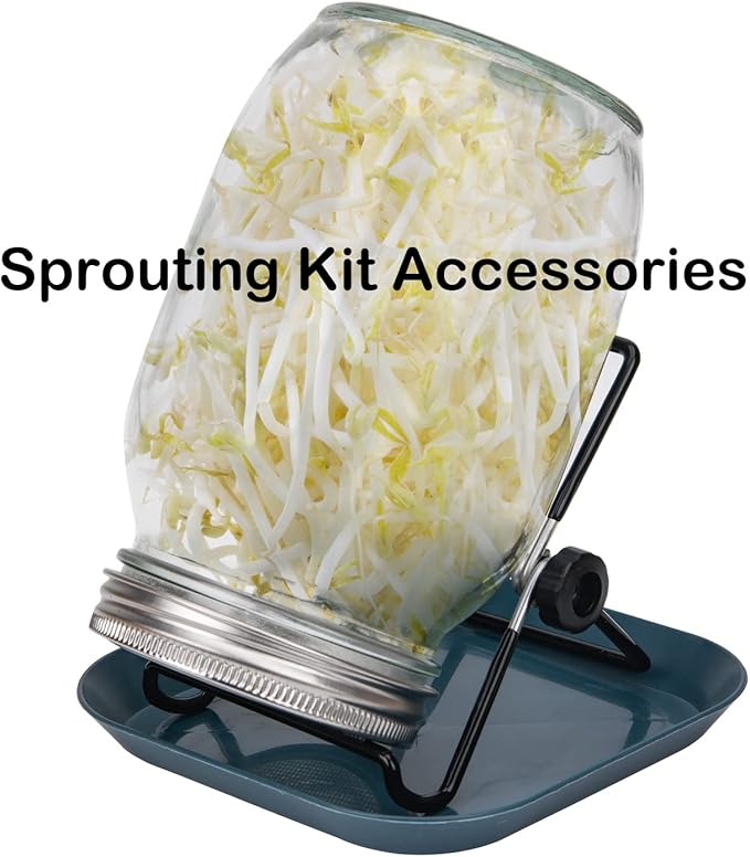 Lulonpon 4 Pieces Sprouting Lids, 304 Stainless Steel Screen Sprout Lids with Stand for 86mm Caliber Jar,for Sprouting, Sprouting Seeds, Sprouting Kit