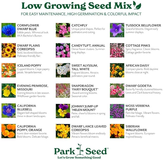 Park Seed Grow Your Own Vibrant Annual and Perennial Wildflower Garden Seeds Mixture, Easy to Grow Varieties for Pollinators and Spring Gardens - Low Growing Mix, 1/4 lb