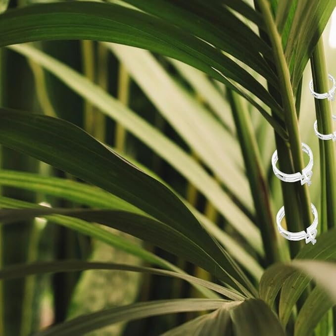 Secured Plastic Plant Clip, 2024 Upgraded Plant Support Clips Reusable Garden Clips 50Pcs, Plant Support Clips Garden Climbing Vines Fixing Clip Trellis Clips Climbing Tomato Clips (50, White)