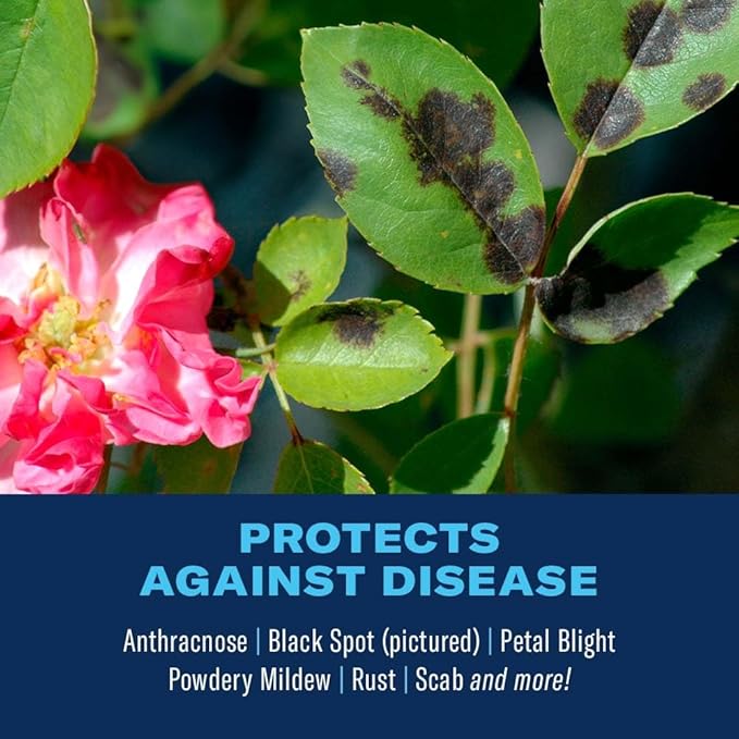 BioAdvanced 3-In-1 Insect, Disease and Mite Control, Fungicide, Concentrate, 32 oz