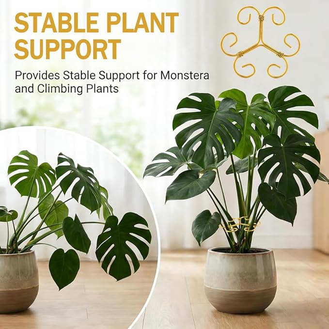 5 Pack Plant Stem Support Set, Reusable Iron Plant Stakes for Indoor Plants, Plant-Support-Stakes for Thriving Growth(Color:Gold)