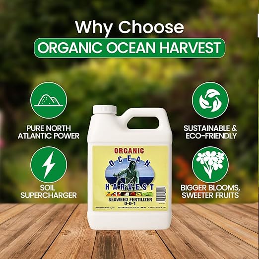 EZ-GRO 0-0-1 Seaweed Fertilizer for Plants – Organic Liquid Plant Food for Indoor & Outdoor Use | Ideal for Vegetables, Trees, Lawns & Shrubs | Promotes Plant & Flower Growth | 32 FL OZ (1 Quart)