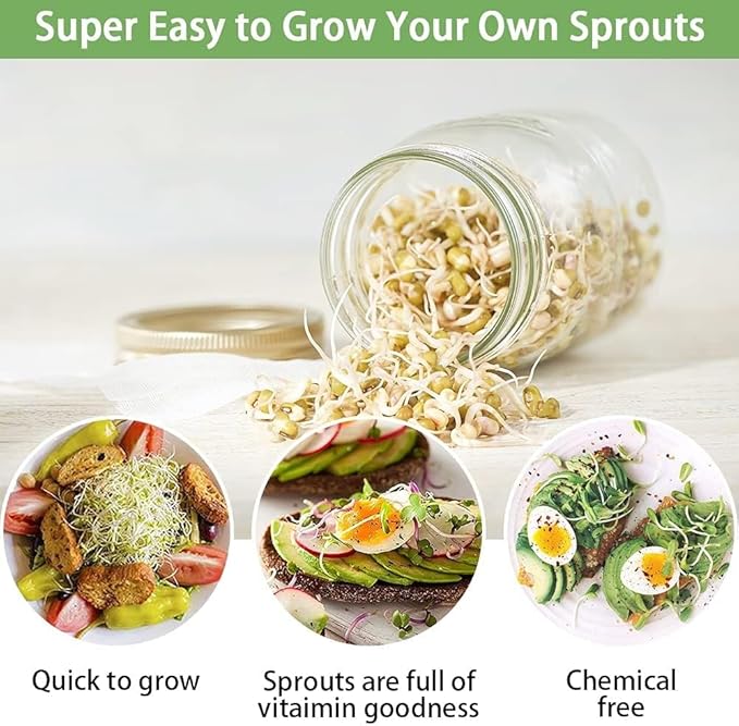 Sprouting Jar Kit, Wide Mouth Quart Mason Jars with Screen Sprout Lids & Stand, Seeds Germination Growing Kit, Seed Sprouter Set for Growing Organic Broccoli Alfalfa Mung Microgreens Bean, 2 Pack