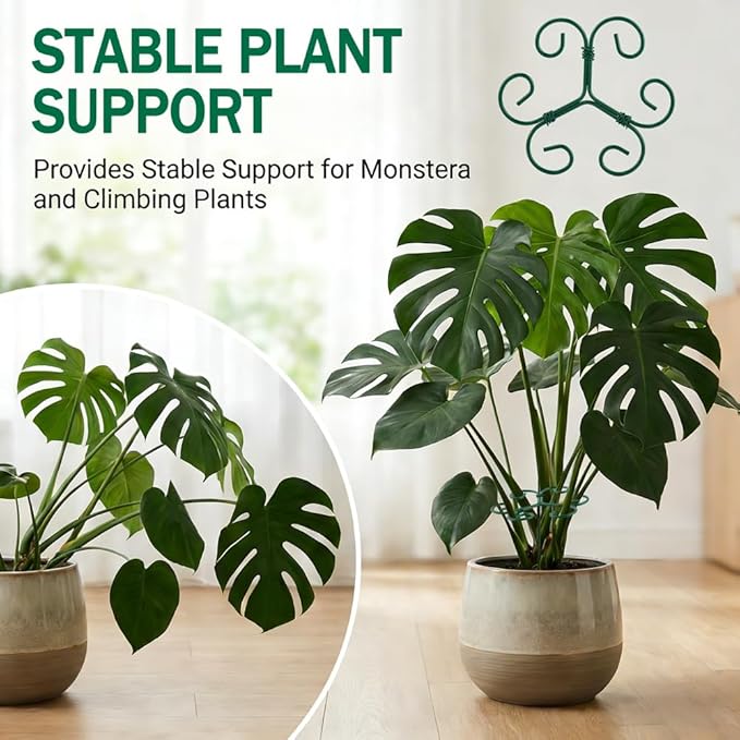 5 Pack Plant Stem Support Set, Reusable Iron Plant Stakes for Indoor Plants, Plant-Support-Stakes for Thriving Growth(Color:Green)