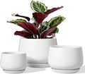 LE TAUCI Ceramic Plant Pots, 4.1+5.1+6.5 inch, Set of 3, Planters with Drainage Hole and Saucer, Indoor Flower Pot with Hole Mesh Pad, Gifts for Mom, White