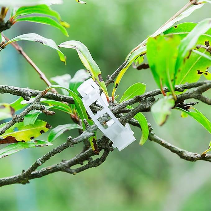 100 Pcs Plant Clips - Plastic Plant Clips for Climbing Plants,Reusable Plant Support Clips for Tomatoes, Vines,Cucumbers, and Climbing Plants,Gentle & Secure Garden Clips for Indoor & Outdoor Use