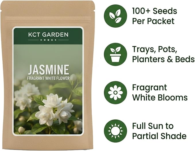 100+ Jasmine Seeds for Planting, for Patio Pots, Outdoor Beds, Raised Planters or Starter Trays, Fragrant Flower Project for Balcony, Border, Entryway, or Yard