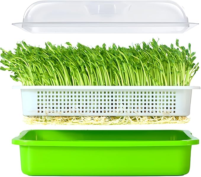 LeJoy Garden Seed Sprouter Tray BPA Free PP Soil-Free Big Capacity Healthy Wheatgrass Grower with Lid Sprouting Kit 13.4x9.84x4.72 inches