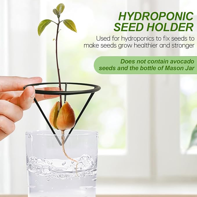 Avocado Seed Starter Vase Rack - for Mason Jar of Wide-Mouth 4Pcs, Avocado Seed Holder Triangular Metal Bracket for Family Friends and Gardening Enthusiasts (4 Pcs Vase Rack)