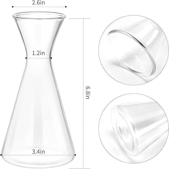 Haoideo Avocado Seed Sprout Starter Vase Planter Pot Glass Avocado Tree Plant Growing Vase Kit Indoor Home Decor Hydroponic Tabletop flower Pot for Plant Lover